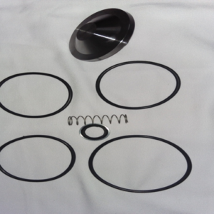 Check Valve Kit 2901050300