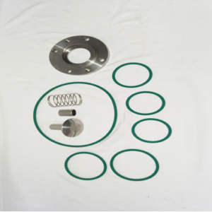 Check Valve Kit 2906037400