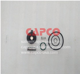 Drain Valve Kit  2901067300