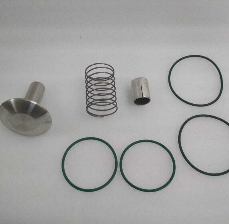 Check Valve Kit  2901186400