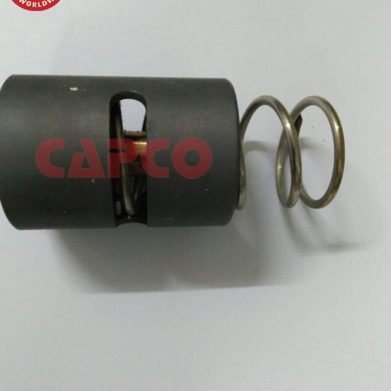 Thermostatic Valve 2901030300