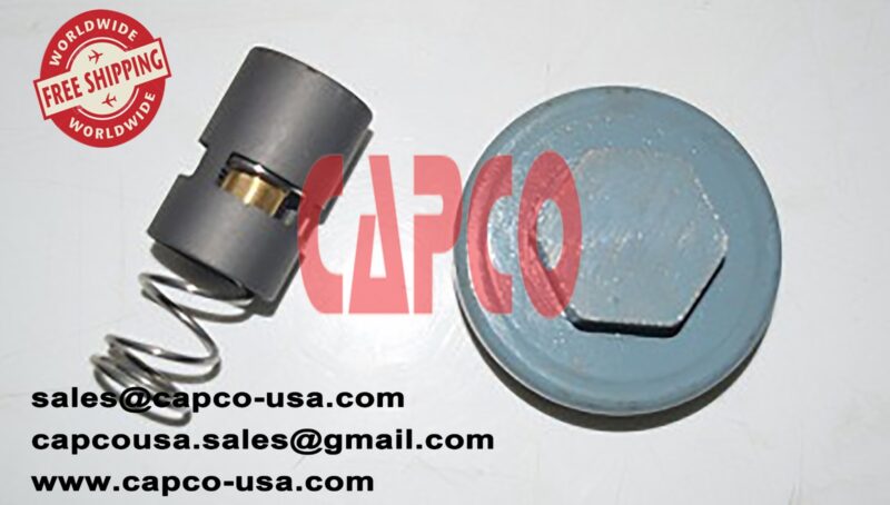 Thermostatic Valve Kit 2901145400 WITH CAP