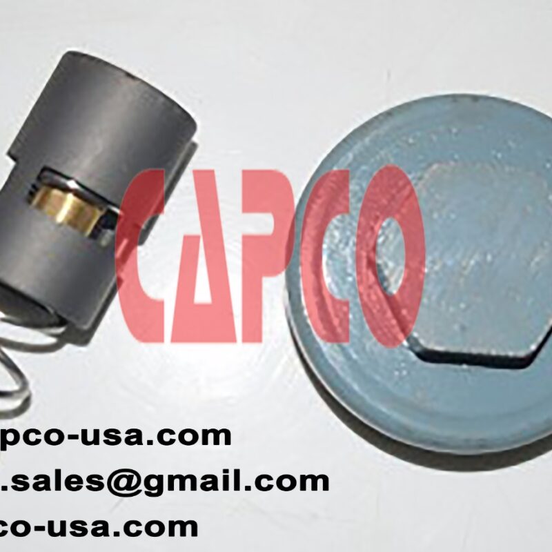 Thermostatic Valve Kit 2901145400 WITH CAP