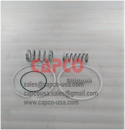 Intake Valve Kit 010331099