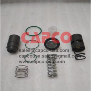 MPV Thermostat Valve Kit 2901353100