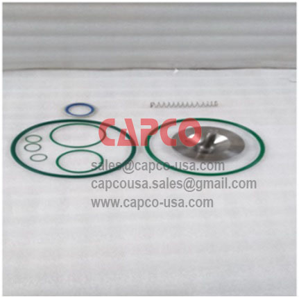 CHECK VALVE KIT 2906069300