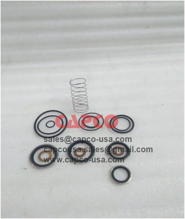 OIL CHECK VALVE KIT 2901007200