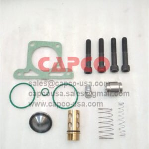 Oil Stop Check Valve Kit 2901196000