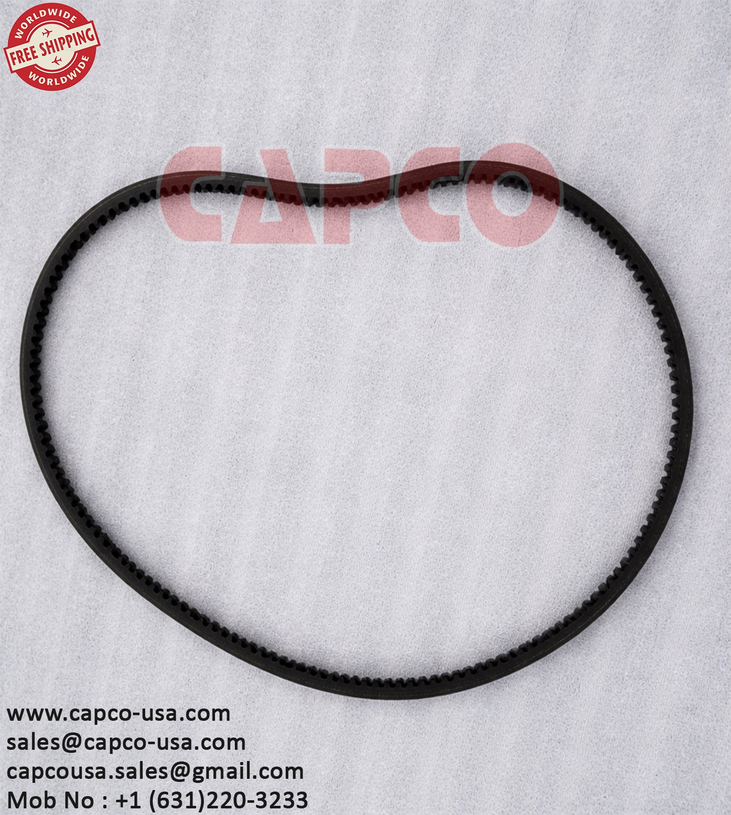 BELT 163.81157 - Image 2