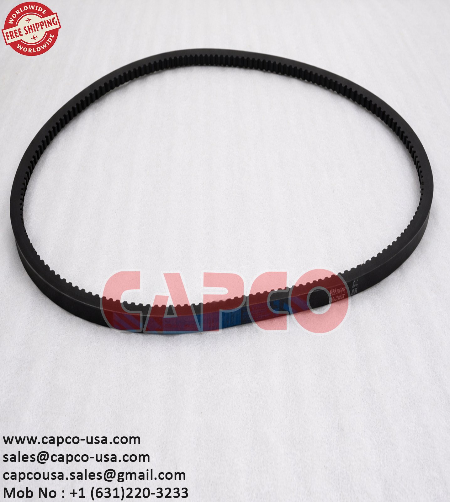 BELT 163.81157 - Image 3