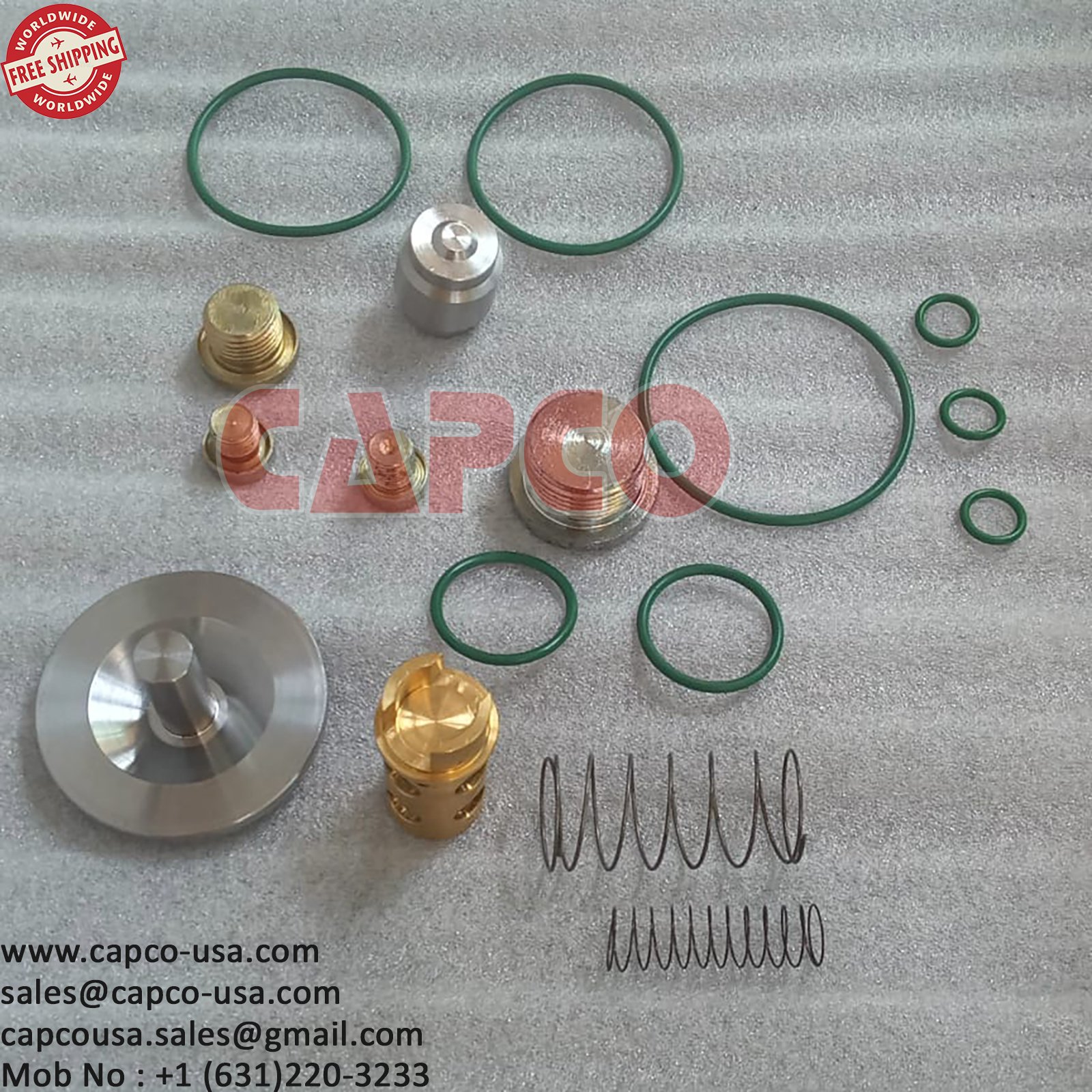 OIL STOP CHECK VALVE KIT 2901202000