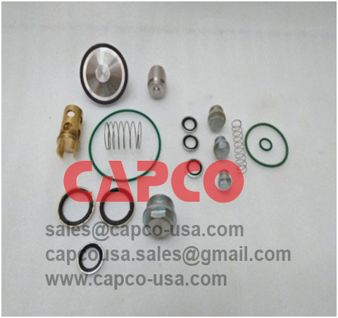 OIL STOP CHECK VALVE KIT 2901202000