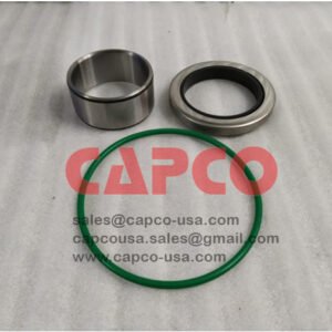 Shaft Seal Kit 3001531117