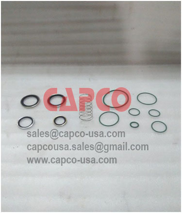 Oil Check Valve Kit 2901021700