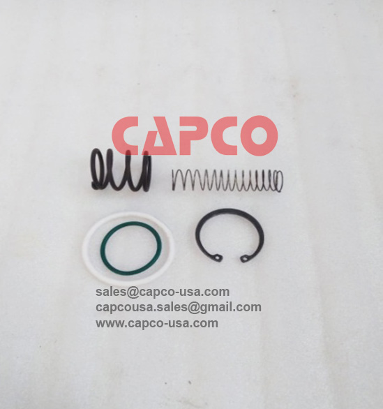 INTAKE VALVE KIT 010330099
