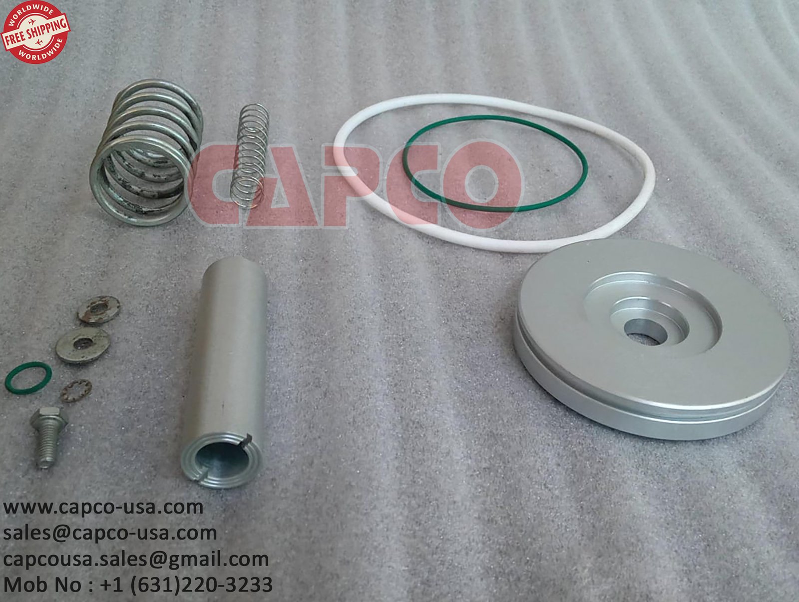 INLET VALVE REPAIR KIT 010331109