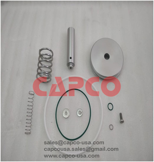 INLET VALVE REPAIR KIT 010331109