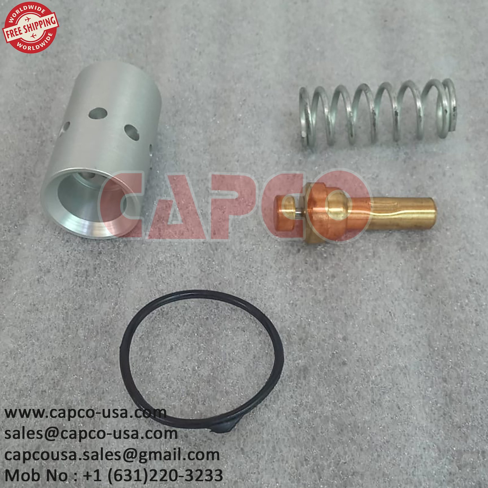REPAIR KIT COMBINATION VALVE 402198.10020