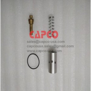 REPAIR KIT COMBINATION VALVE 402198.0