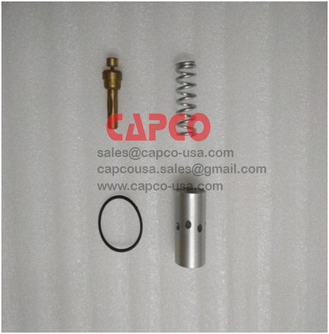 REPAIR KIT COMBINATION VALVE 402198.10020
