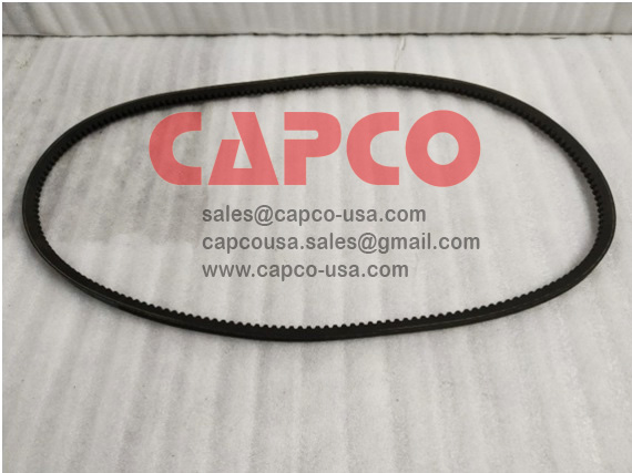 BELT 2202925903