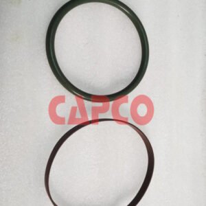 SEAL RING 0665070089