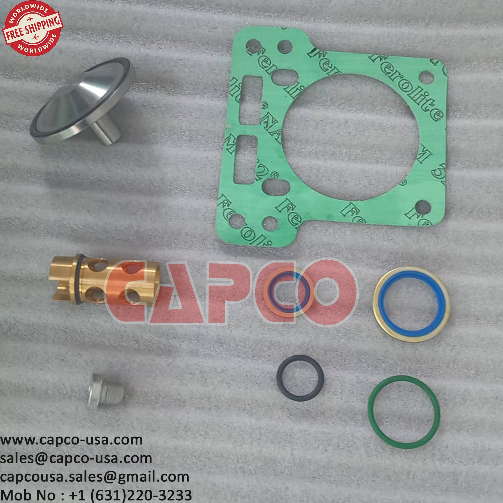 OIL CHECK VALVE KIT 2901021704