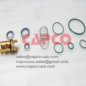 OIL CHECK VALVE KIT  2901021701