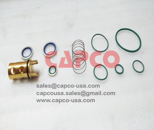 OIL CHECK VALVE KIT  2901021701
