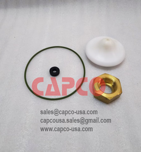 Air Valve Kit  2906032500