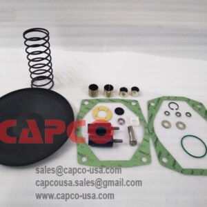 Inlet valve overhaul kit 2906039200