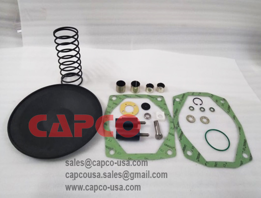Inlet valve overhaul kit 2906039200