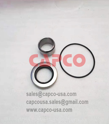 LIP SEAL KIT 2901158000