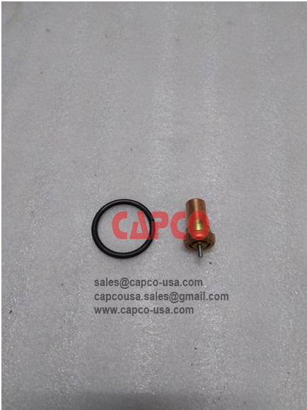 THERMOSTAT KIT 2205557813