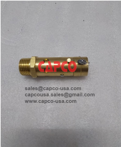 Safety Valve  0830101003
