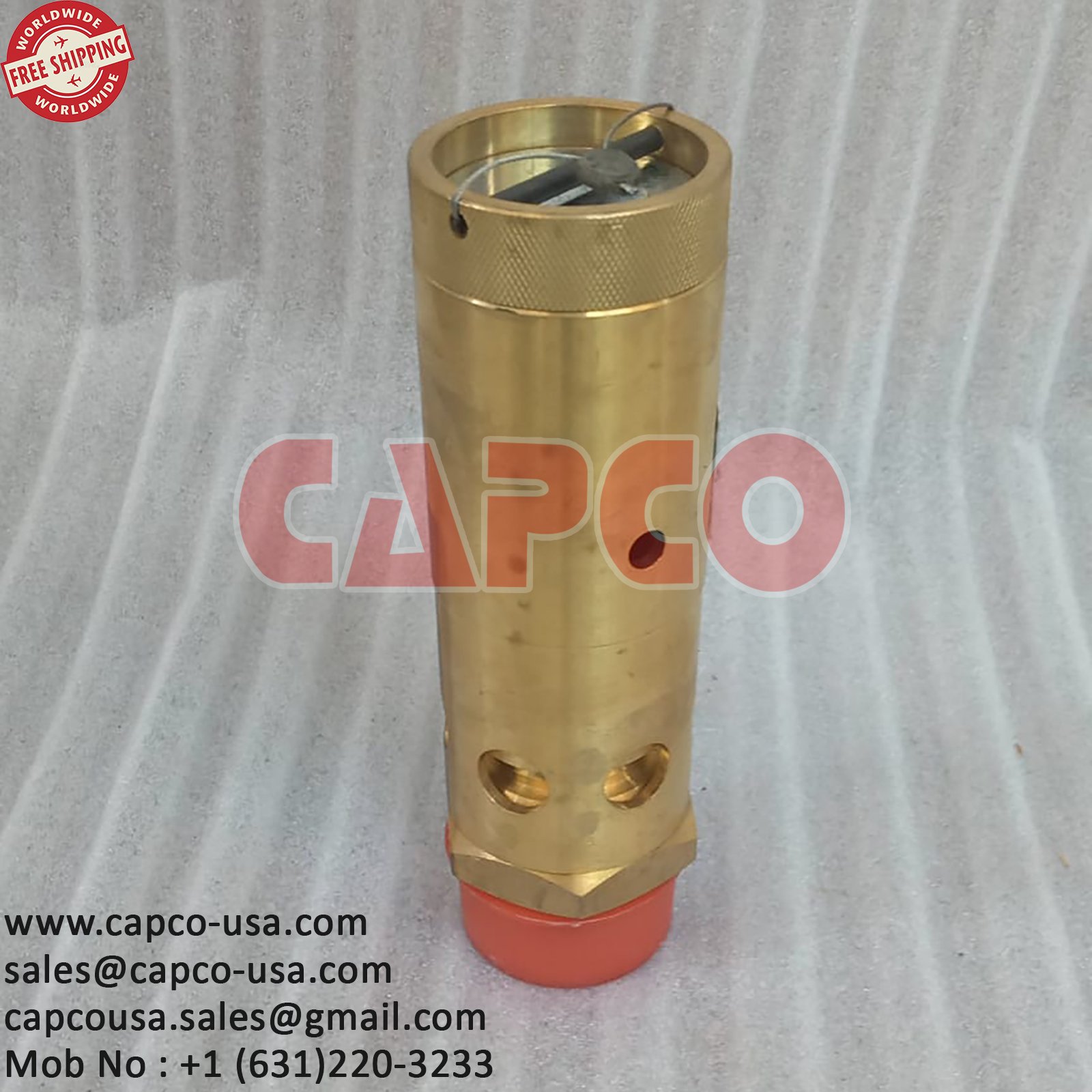 Safety Valve 2202889101