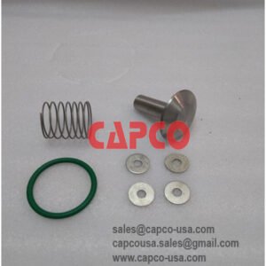 Check Valve Kit 2901110000