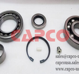 2901195300 Motor Overhaul Kit