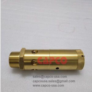 Safety Valve SC12-11-5