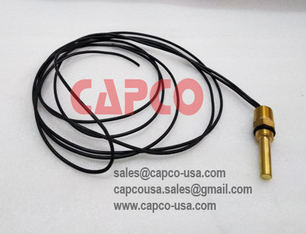 Temperature switch 02250100-095