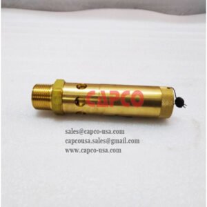 Safety Valve 564005700