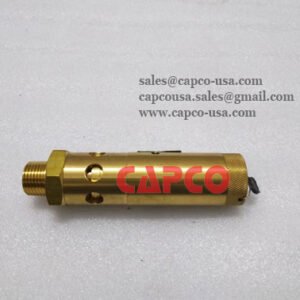 Safety Valve 564001106K
