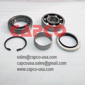 Motor Overhaul kit  2901191022