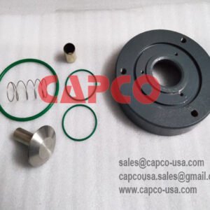 CHECK VALVE KIT 2906040400
