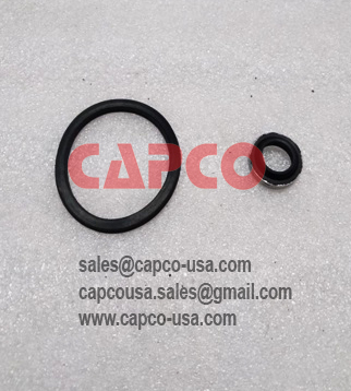 SPEED REGULATOR KIT 2911005200