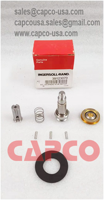 SOLENOID VALVE REPAIR KIT(IR ORIGINAL) 39123070