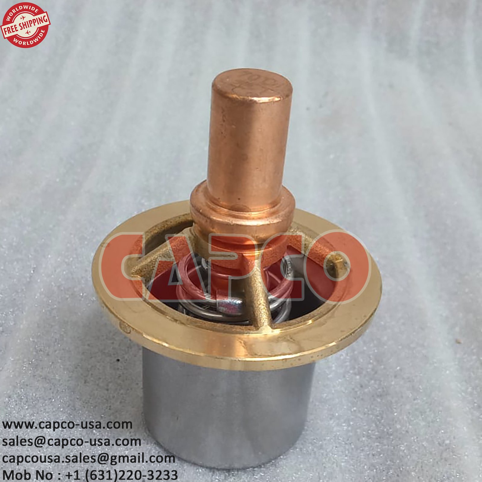 THERMOSTATIC VALVE 22195820