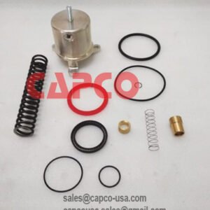 Intake Inlet Valve Kit NT1707
