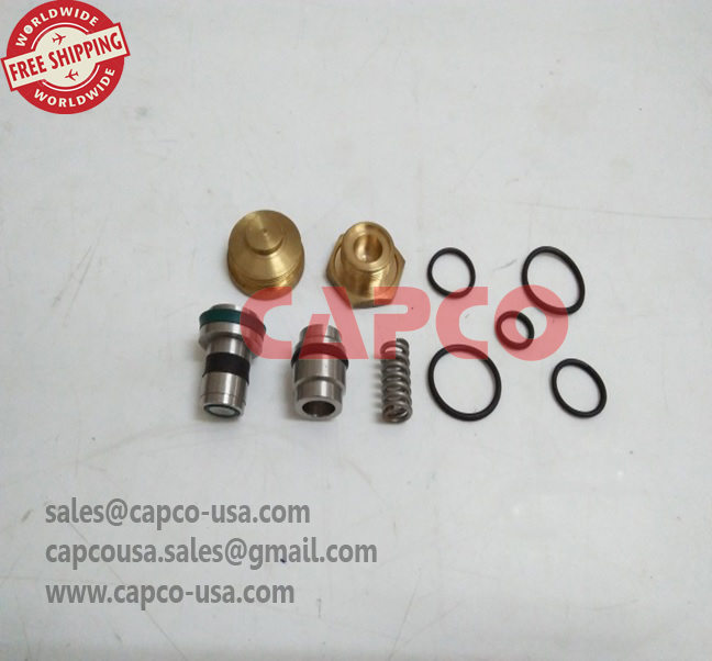 Intake Valve Kit 2205490431