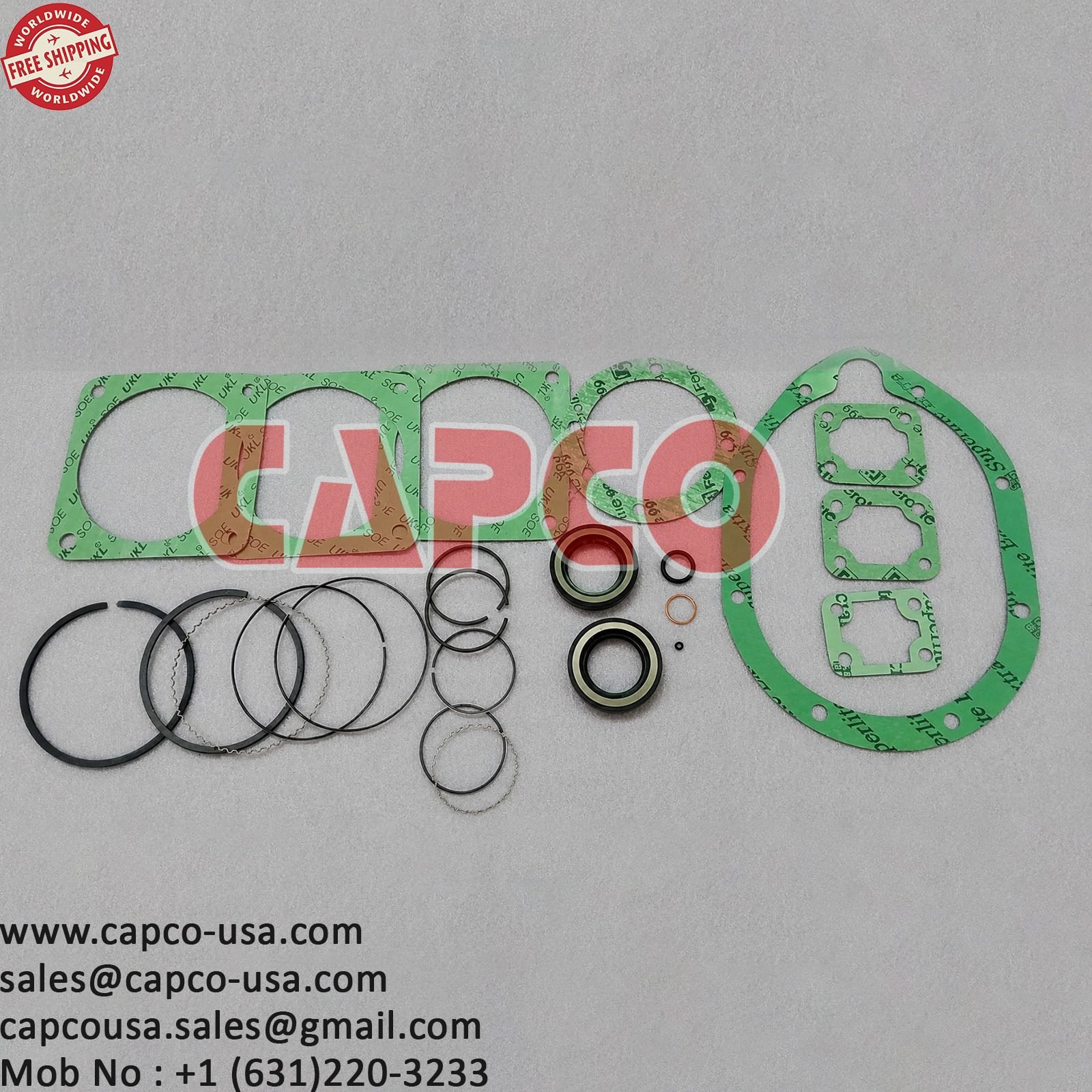 32194003-3000 Ring Gasket Kit